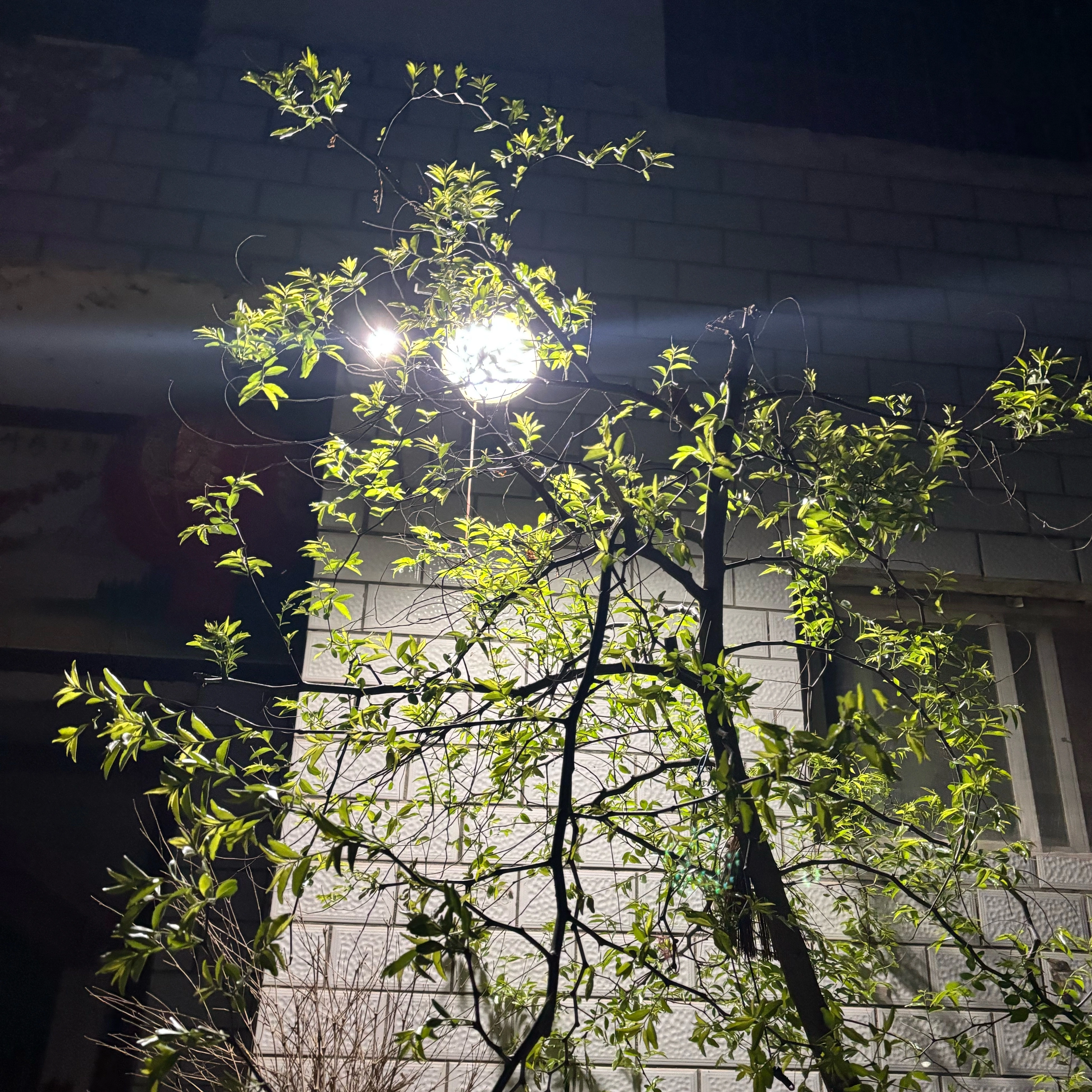 方泽