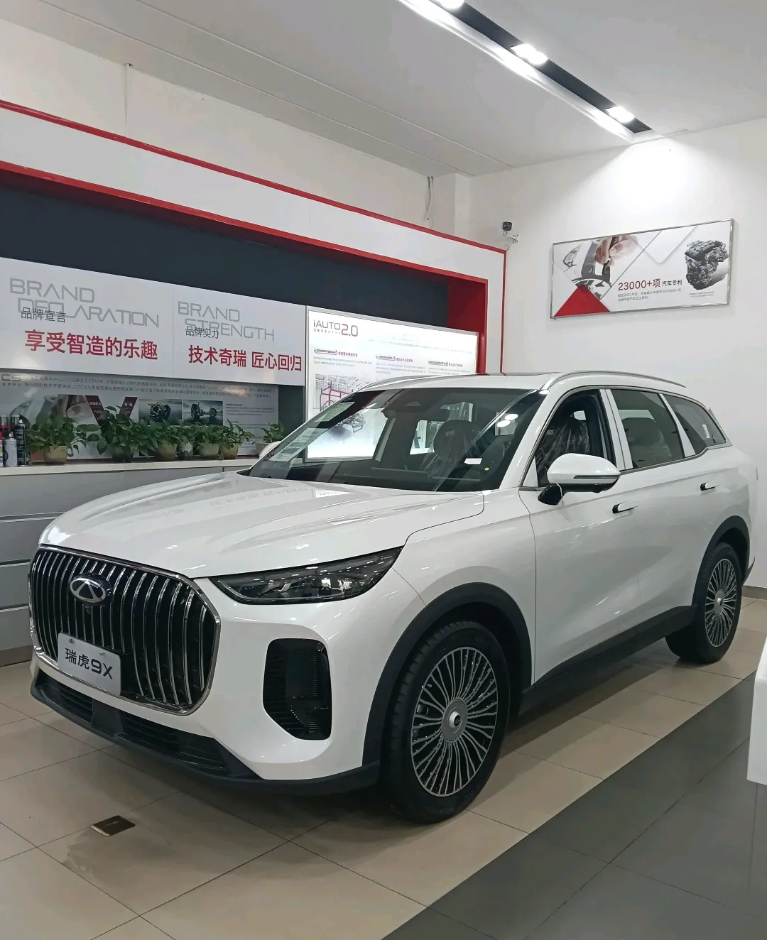杨先生