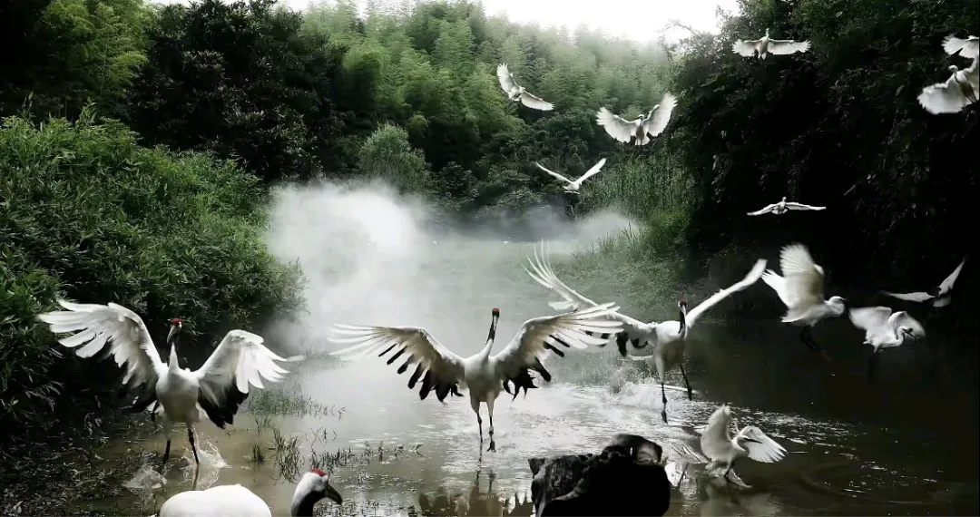 景先生
