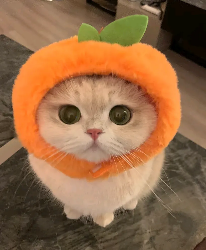 刘洋