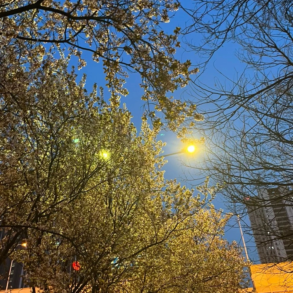魏林