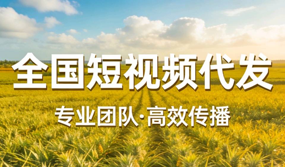 曹鹏推广团队提供全国短视频代发服务,覆盖抖音/快手/视频号三大平台