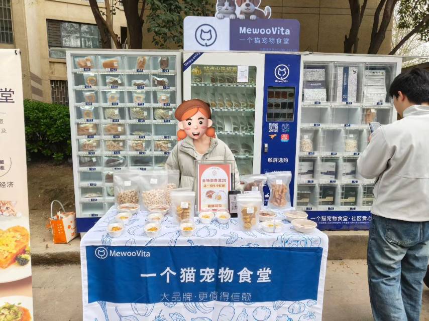 杨先生找合伙人