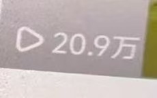 叶女士其他供需小说短剧推文项目