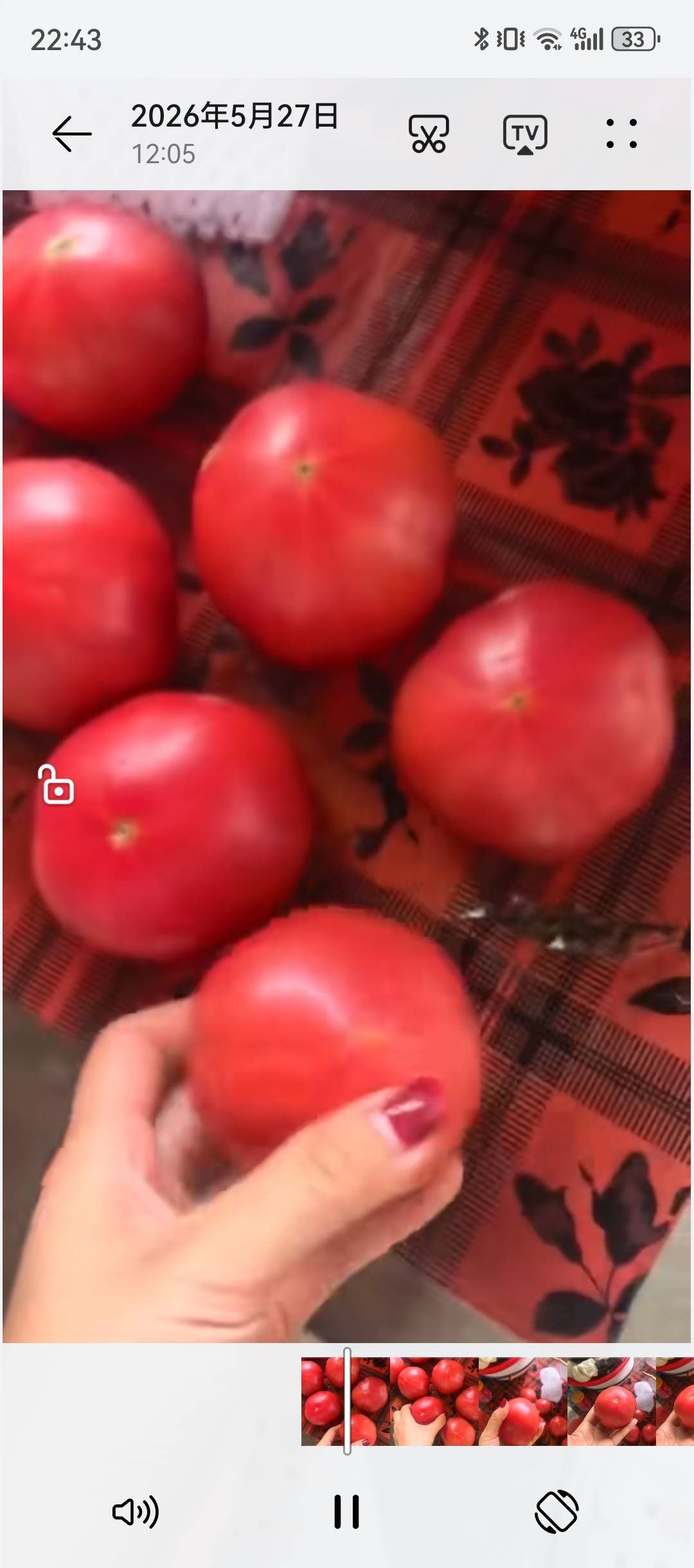 郭荣华陕西咸阳西红柿,电商品质,集采,有需要的联系