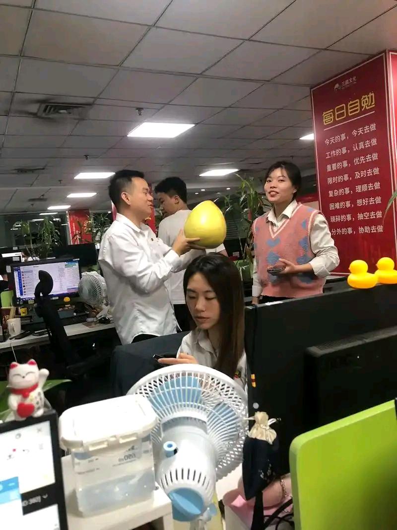 柳宁找合伙人app拉新