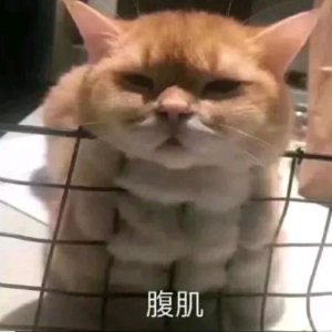 u客直谈实名认证陈先生