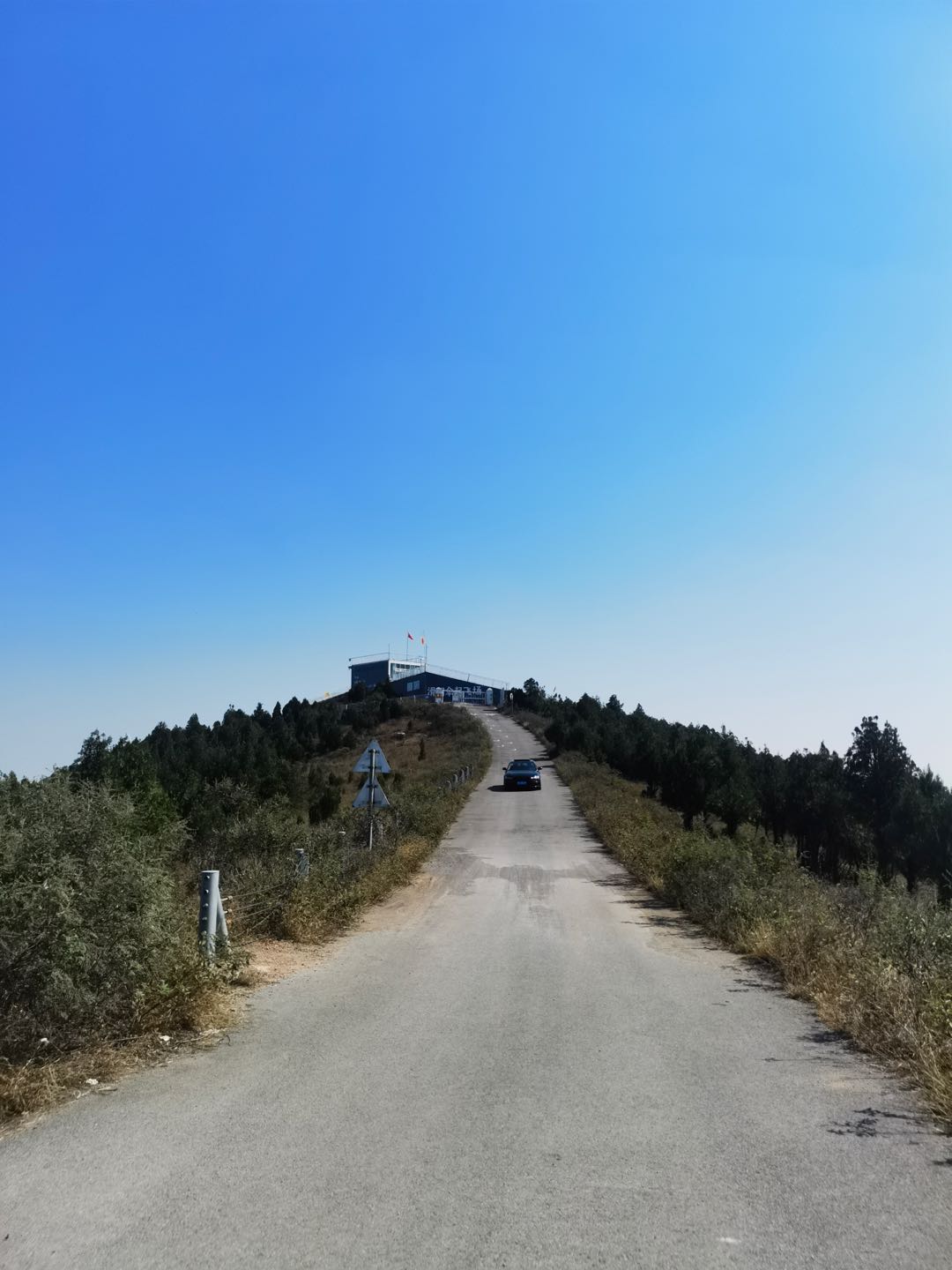 张先生