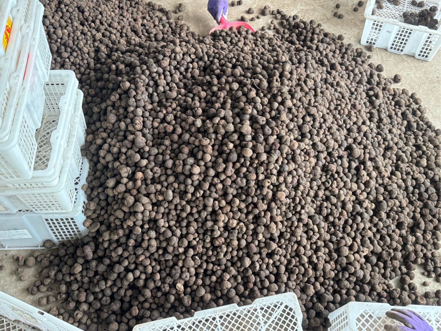 郭洲驿品牌货源黑松露源头厂家 找优质甲方 