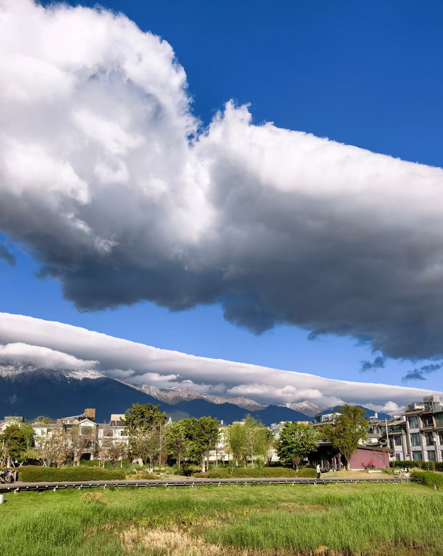 杜杰龙品牌货源种植大棚蔬菜，黄瓜，西红柿，茄子，豆角等等