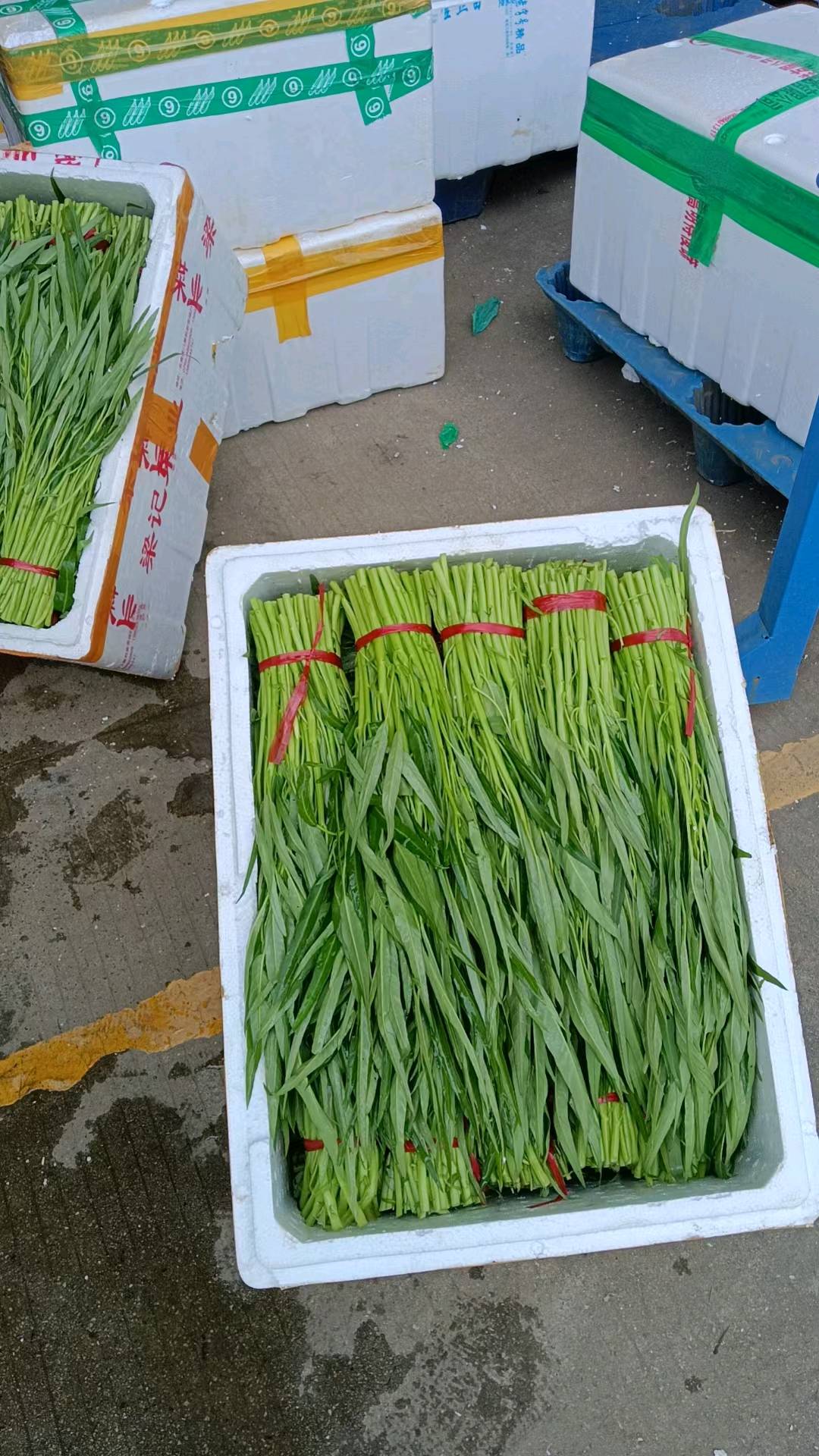 覃玉欢自家从事农业，提供蔬菜！