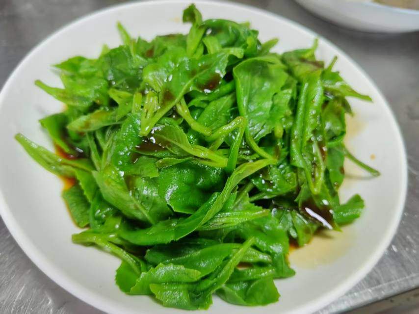 熊先生平卧菊三七
