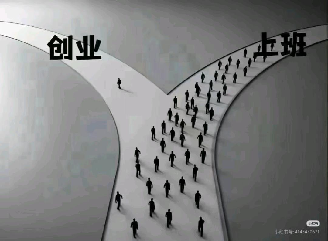 张先生找合伙人