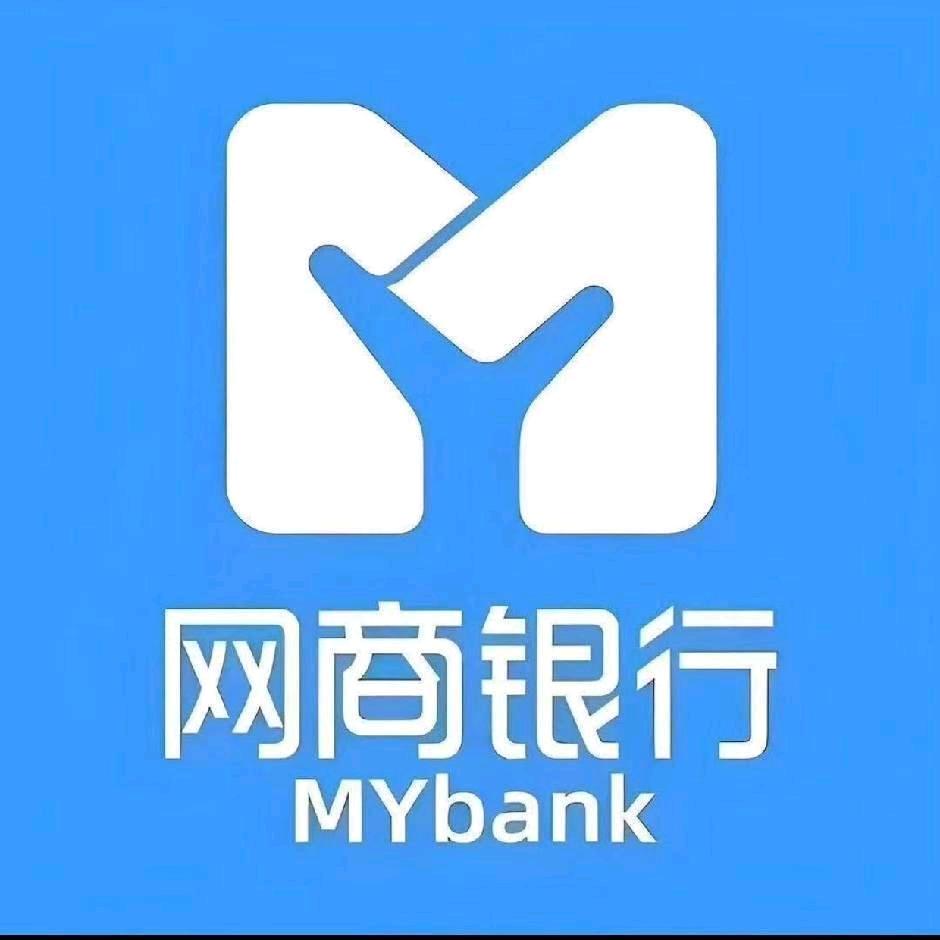 漆涛其他供需网商银行测额度