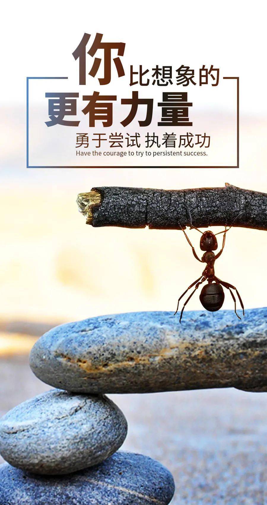 陈先生找合伙人