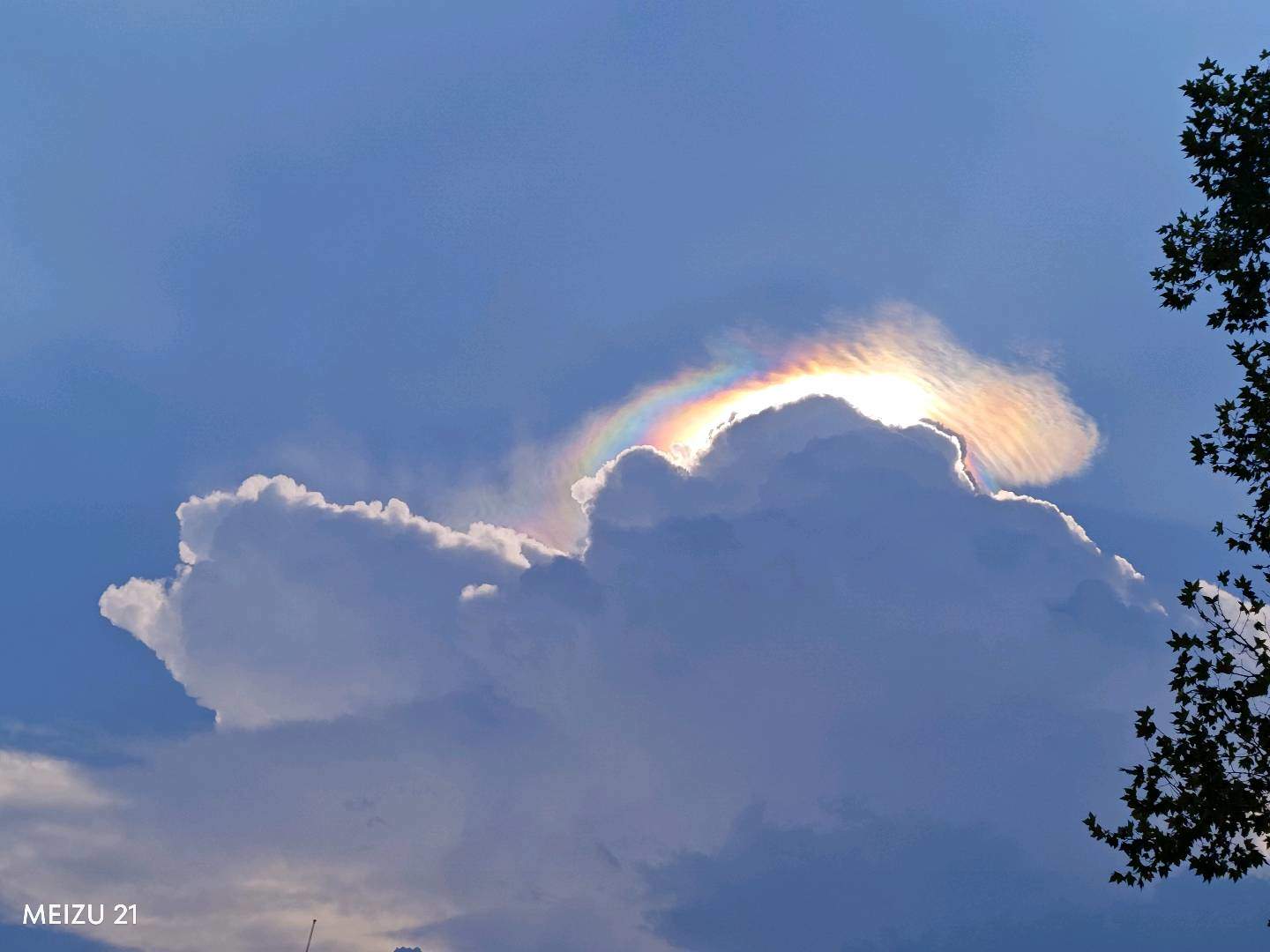 u客直谈实名认证柯女士