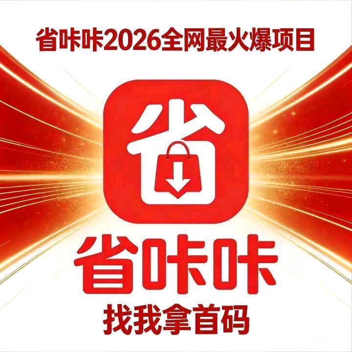 张女士找合伙人看广告赚钱