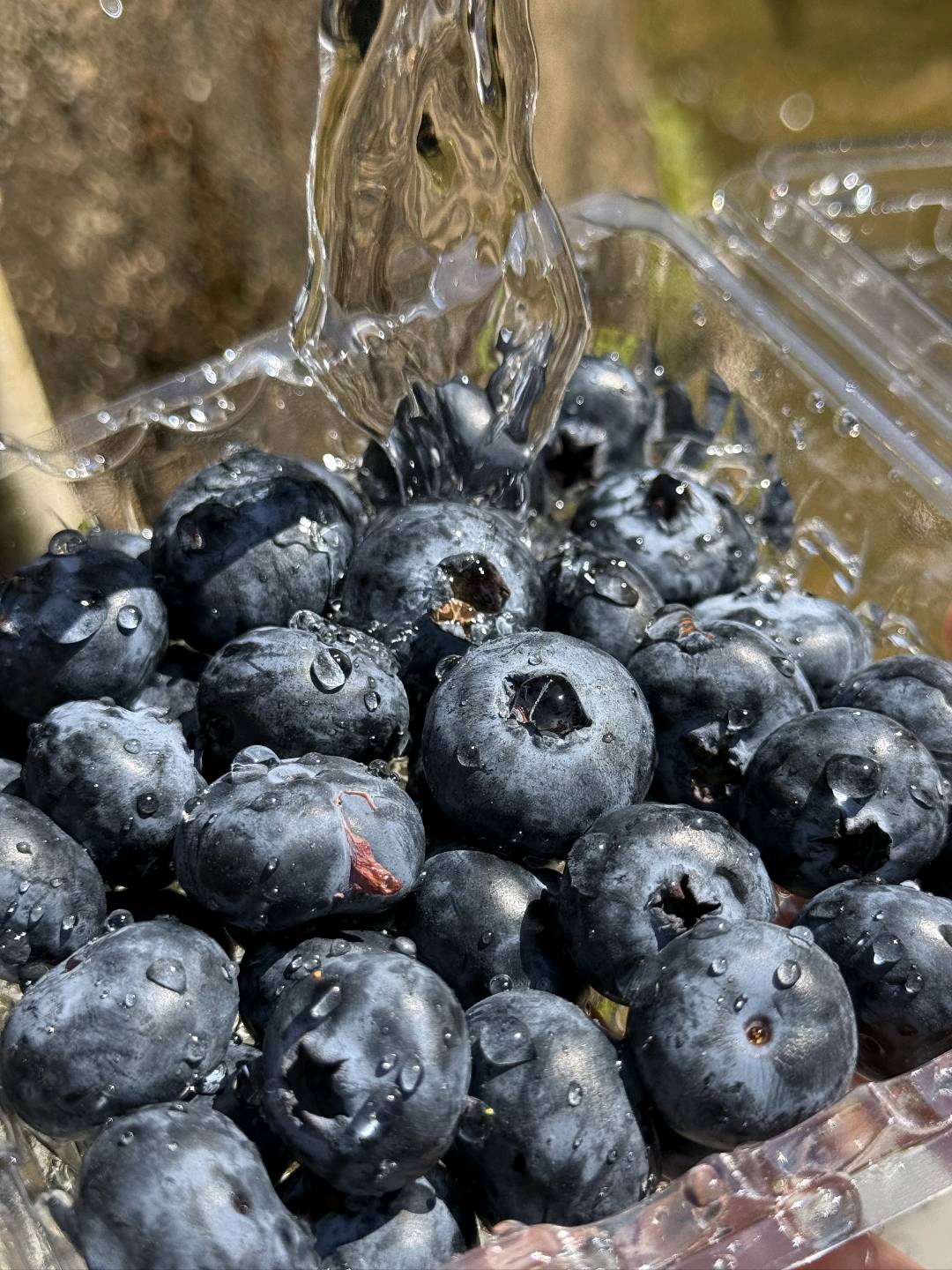 陈庆民乙方信息