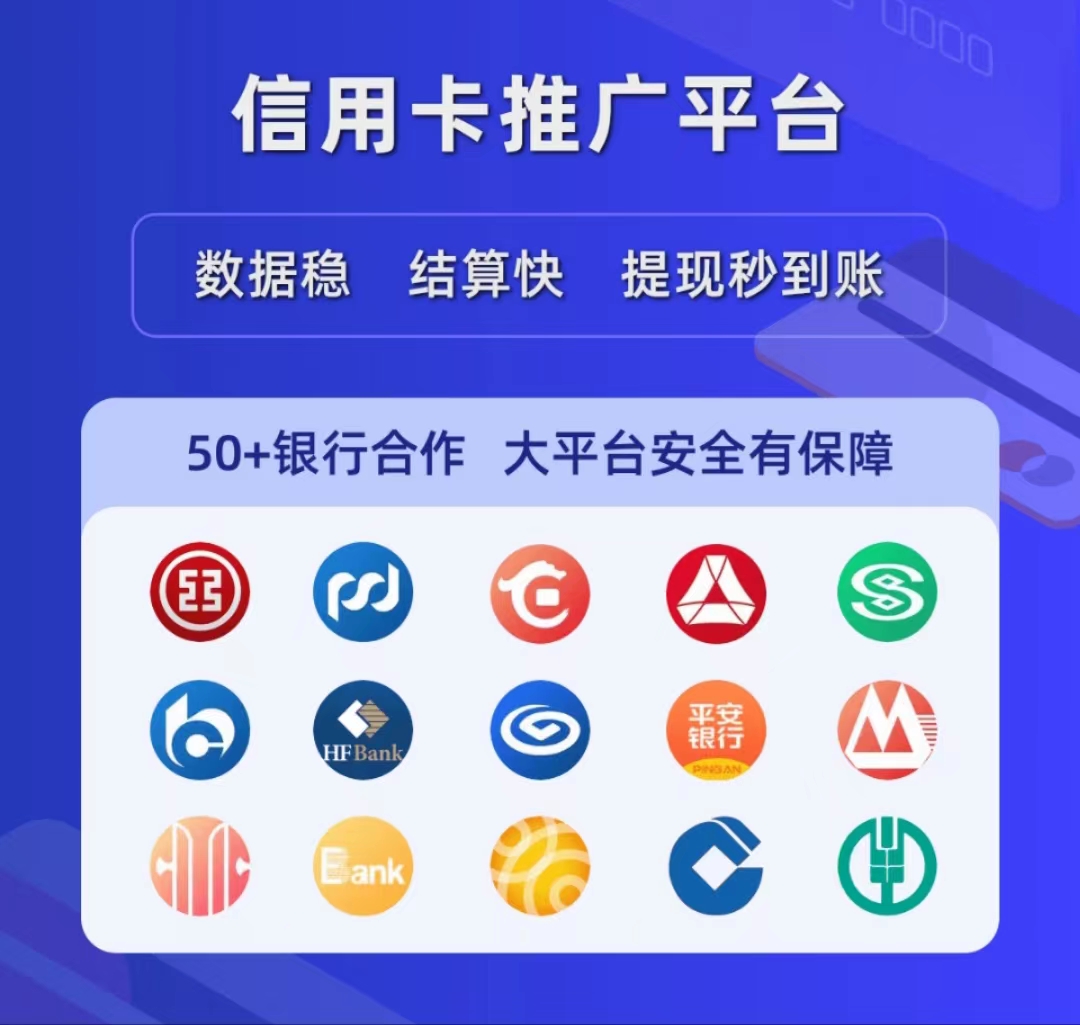 吴先生地推项目