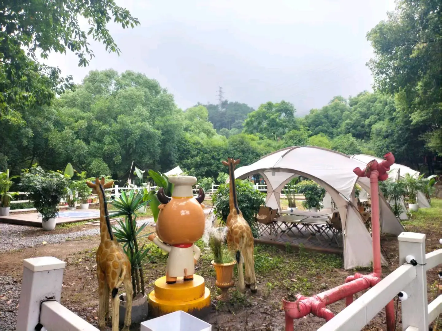 蔡恒找合伙人南岸烧烤餐饮合伙人招募,条件很好!