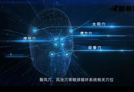 张女士找合伙人