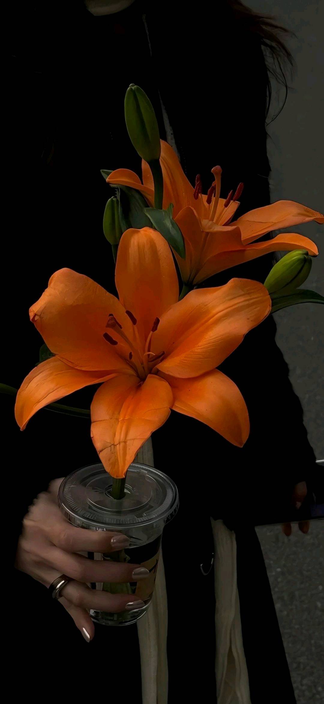 张泽鸿其他供需旧衣及各大用品回收项目