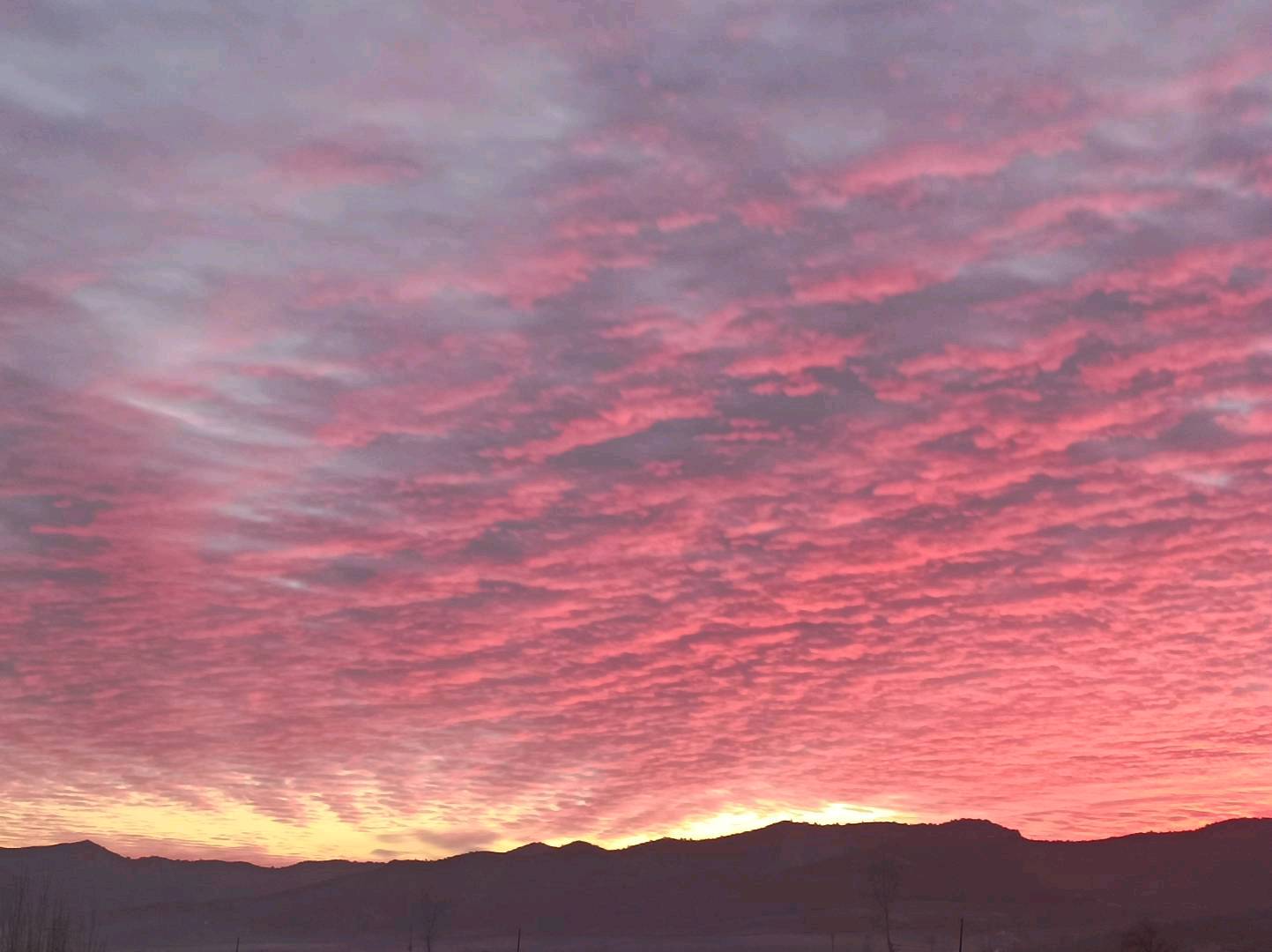 姜佳宏其他供需广告项目，手把手教你，如何养机，赚的更多