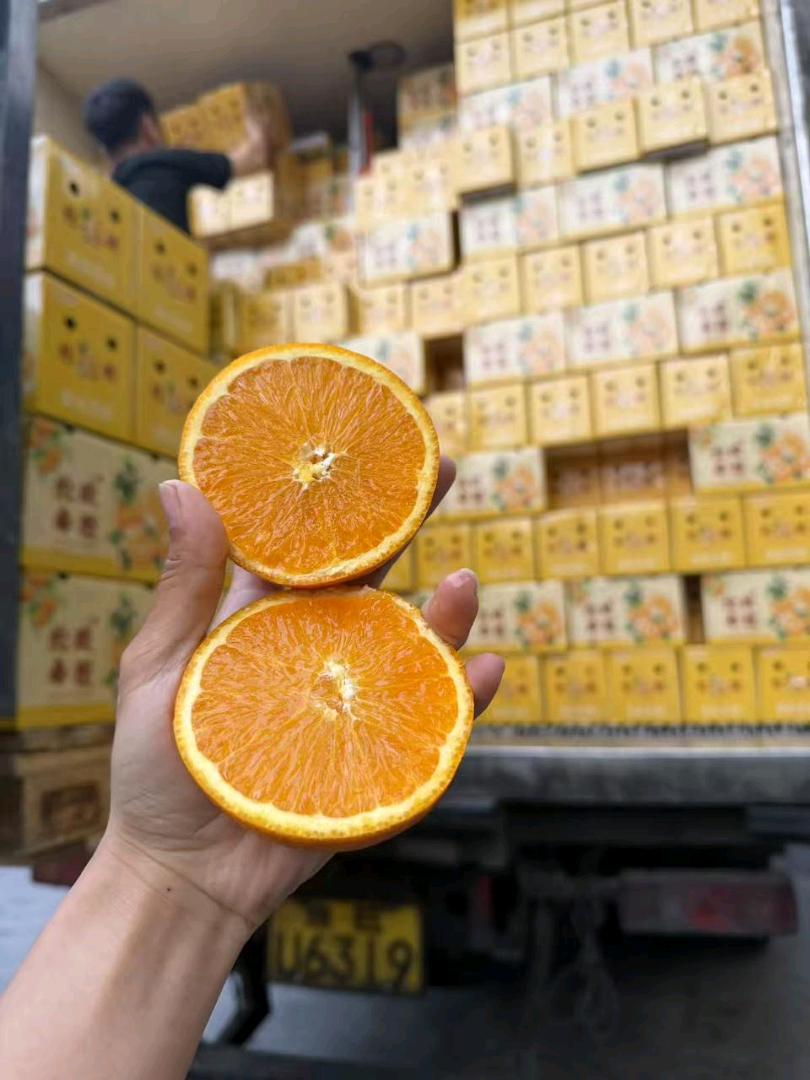 白先生找合伙人