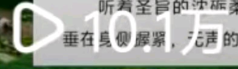 张青找合伙人