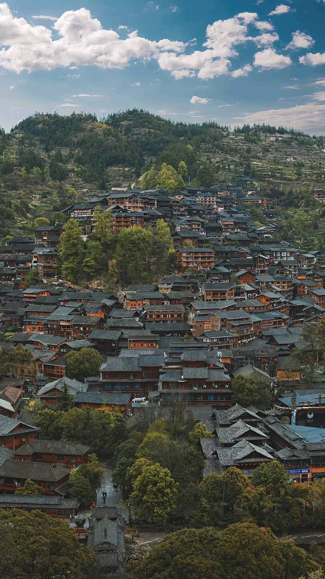 蔺先生互联网共享旅游 线上旅行社模式 单人*