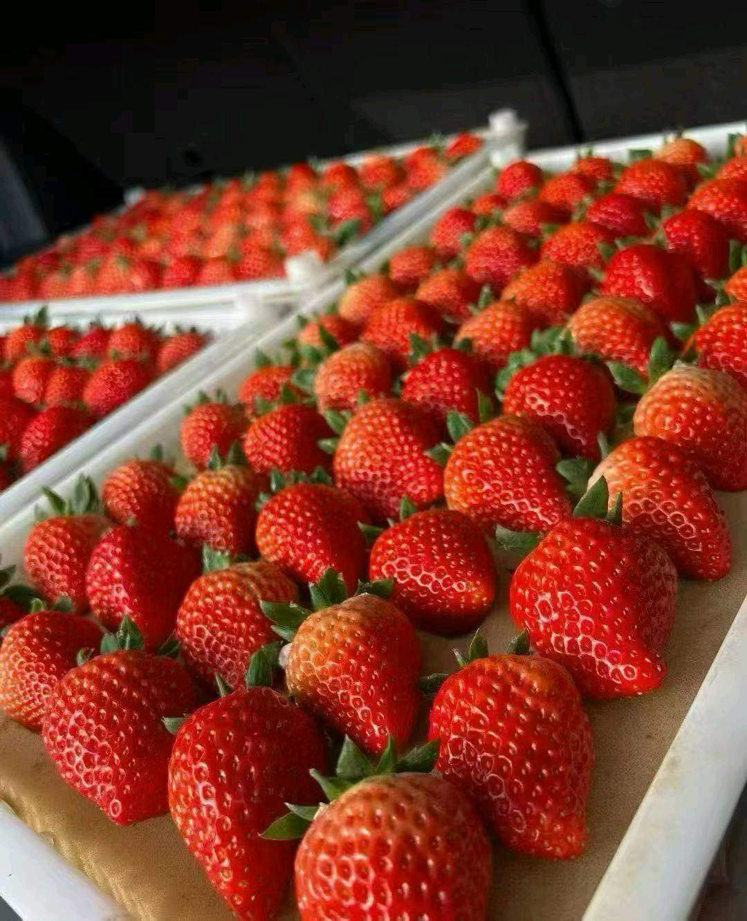 黄晓晖品牌货源