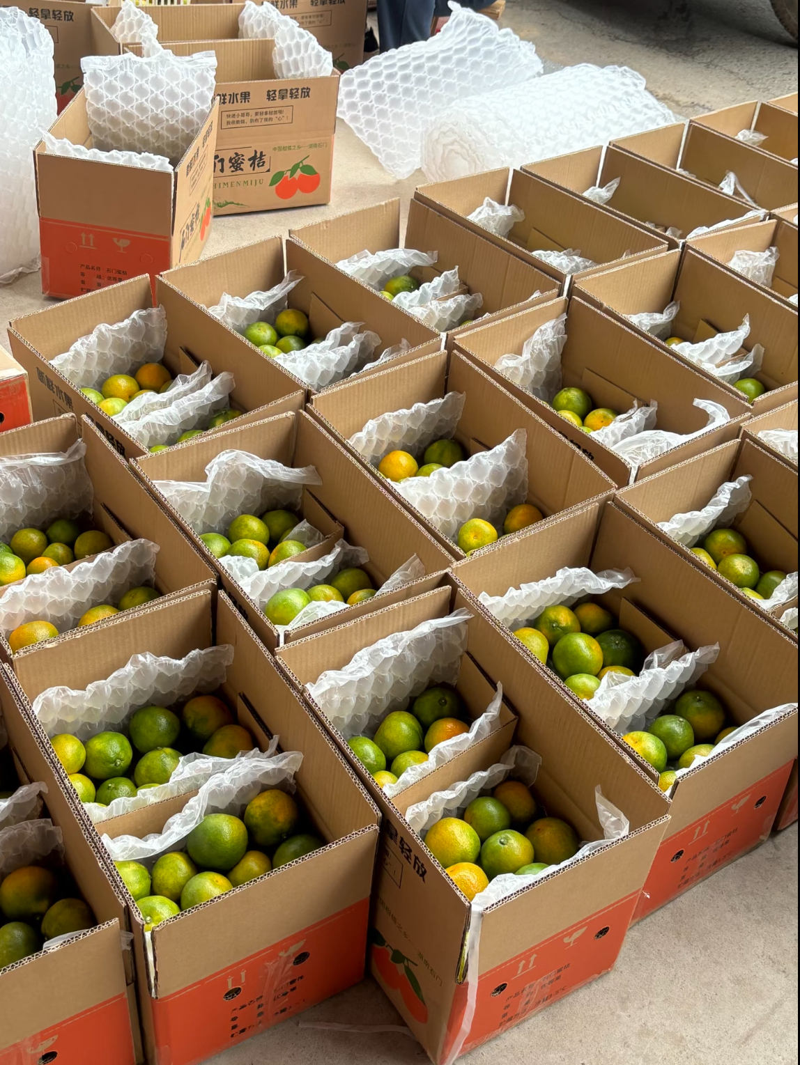 张劲优质生鲜水果品牌货源 诚邀直播电商主播合作带货