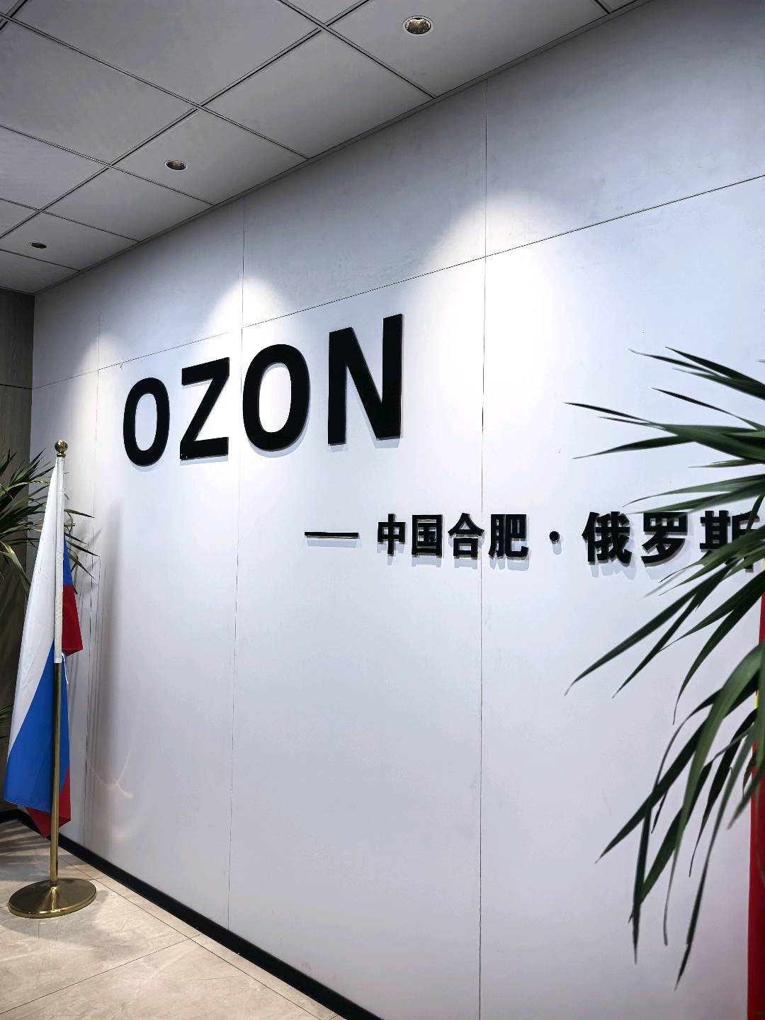 施子强其他供需跨境合作伙伴计划