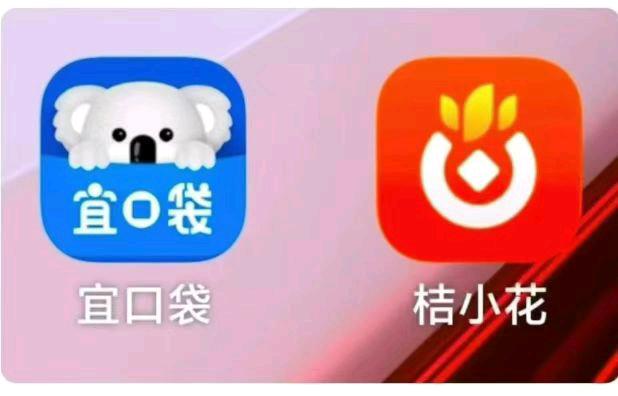 杨先生地推项目拉新， 复购   操作简单    全程0成本