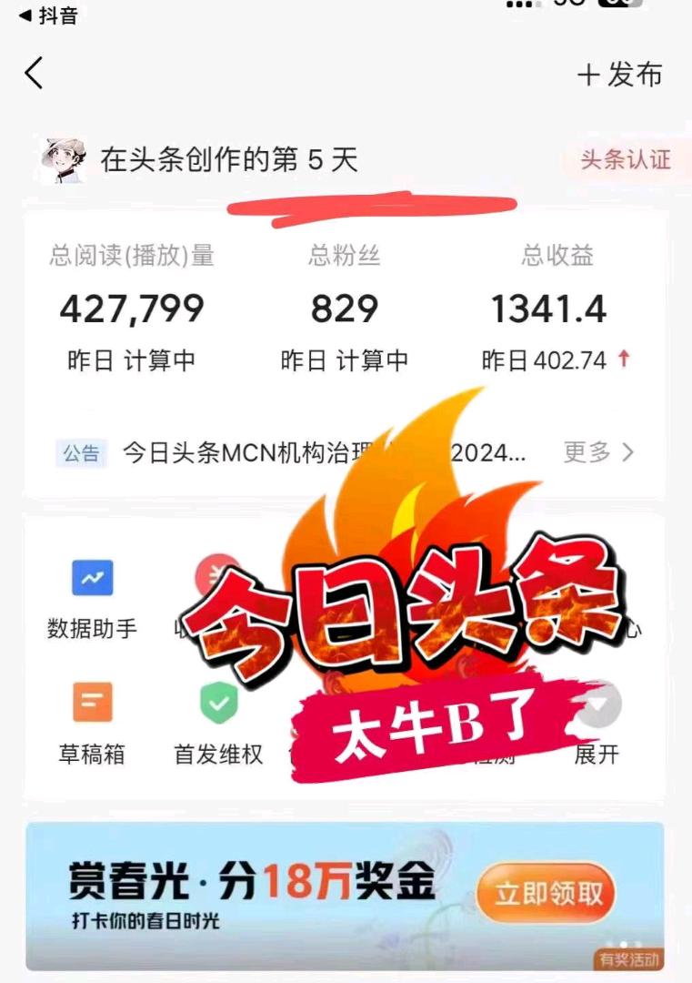 吴女士找合伙人AI头条搬运项目