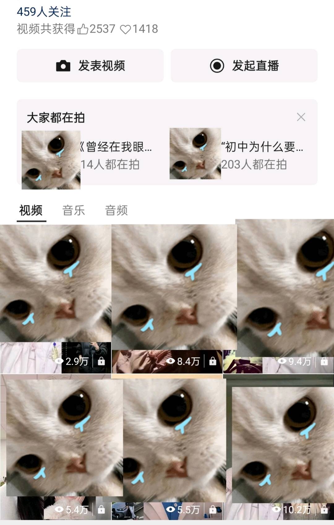 莫先生小说推文/短剧推广项目招募,含入门扶持