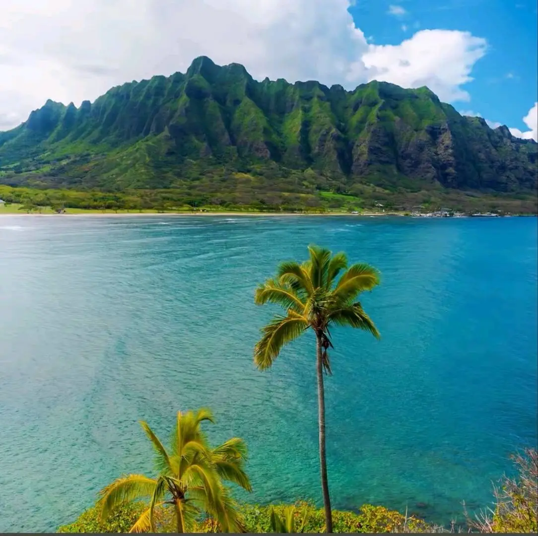 u客直谈实名认证李先生