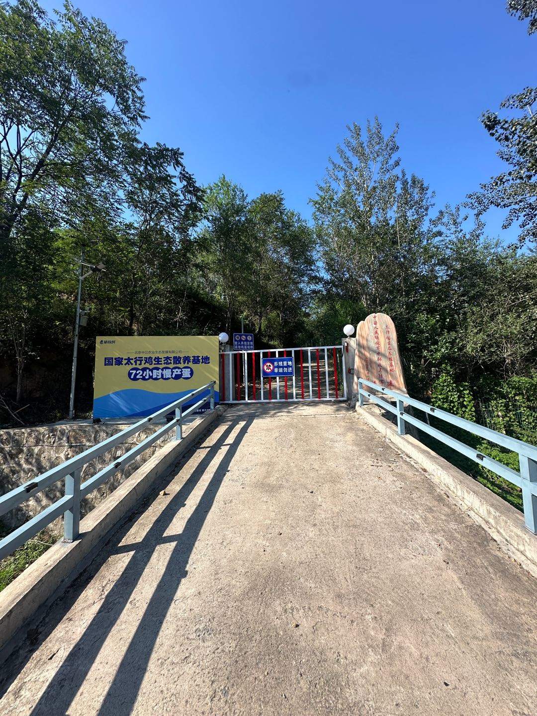 王海峰地推项目石家庄生鲜超市地推铺货