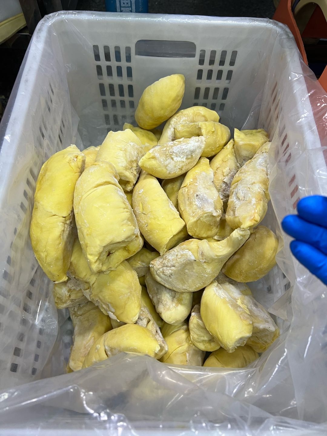郑泽鑫品牌货源冷冻榴莲肉工厂 需要披萨门店 榴莲蛋糕门店拓展销路