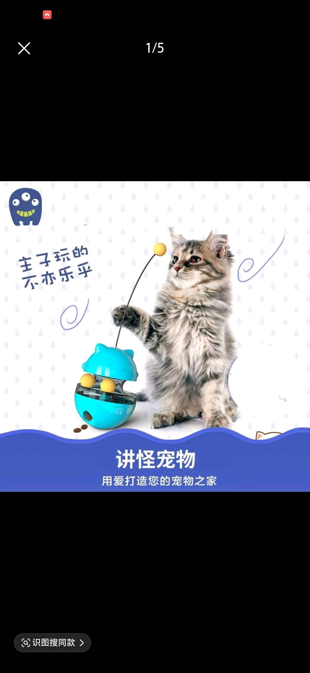 张浩锋其他供需