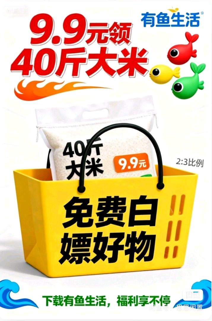 石萍找合伙人有鱼生活电商平台招募合作,多设备操作享多元收益机会