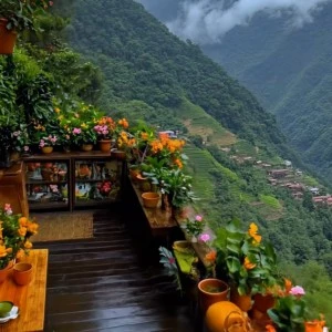王丽