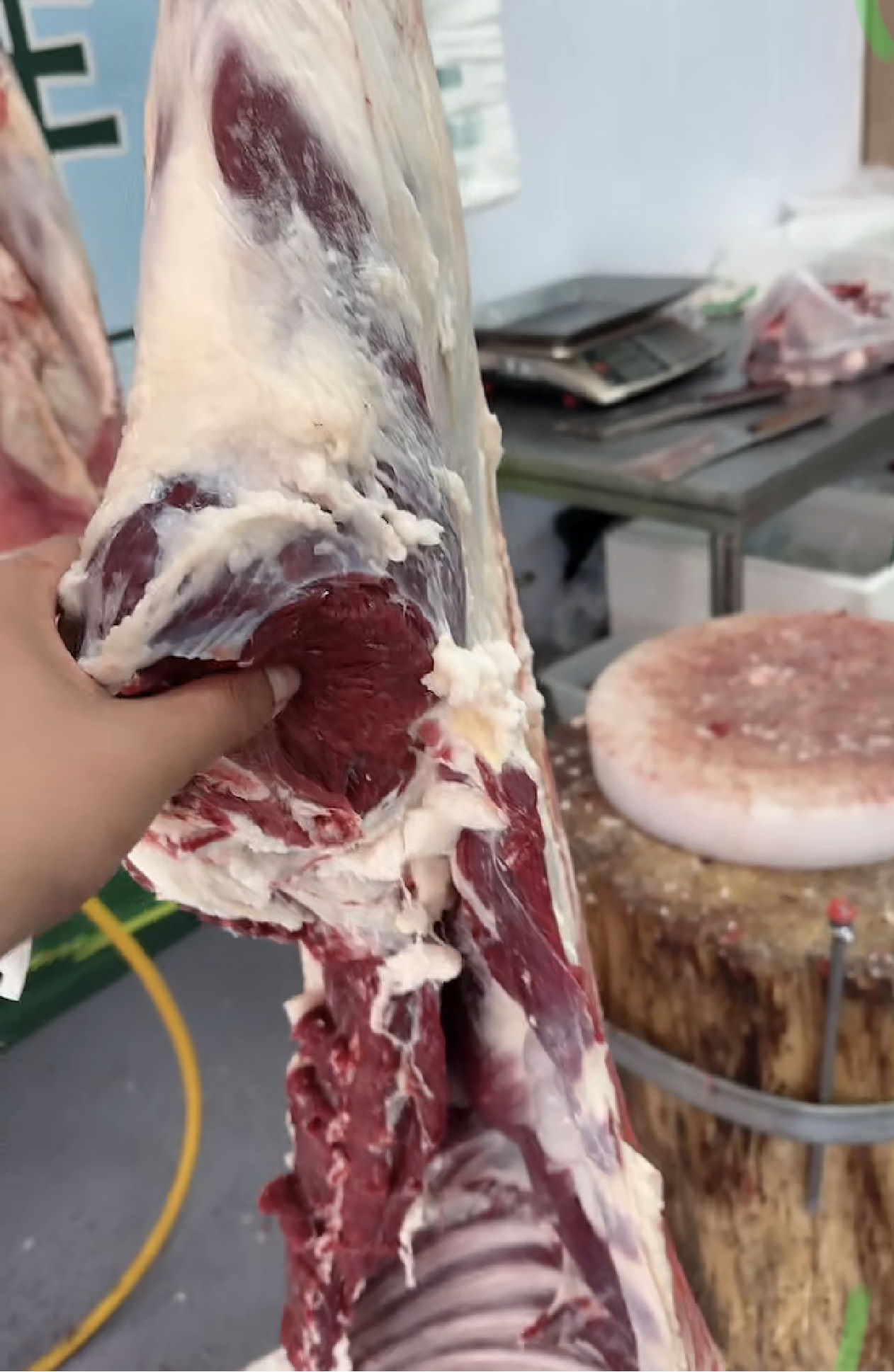 陈玉奇其他供需盐池滩羊肉推销