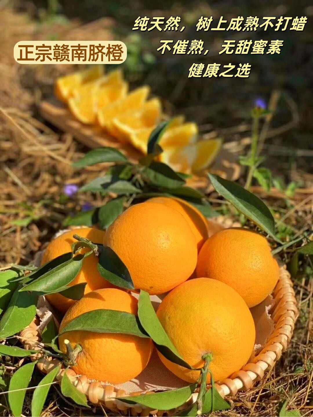 陈正品牌货源正宗江西赣南脐橙50万斤20年百亩示范果园寻求销售合作