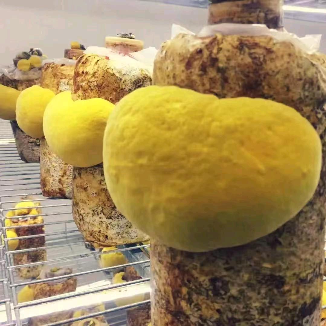 张女士找合伙人