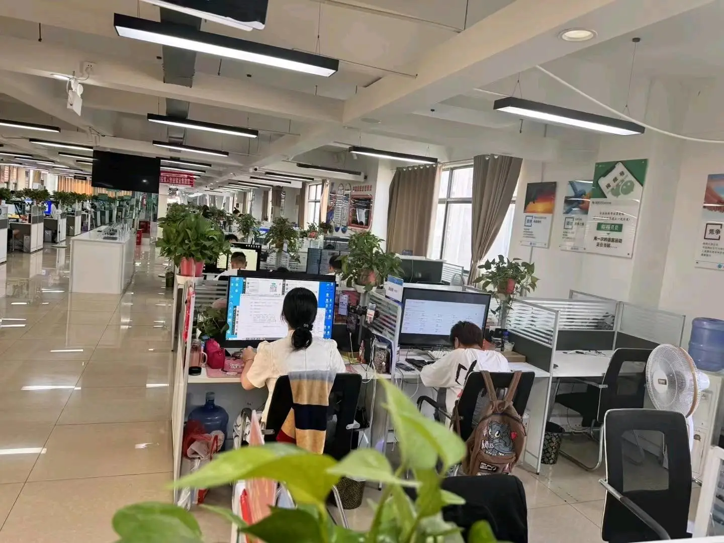 王兰兰找合伙人