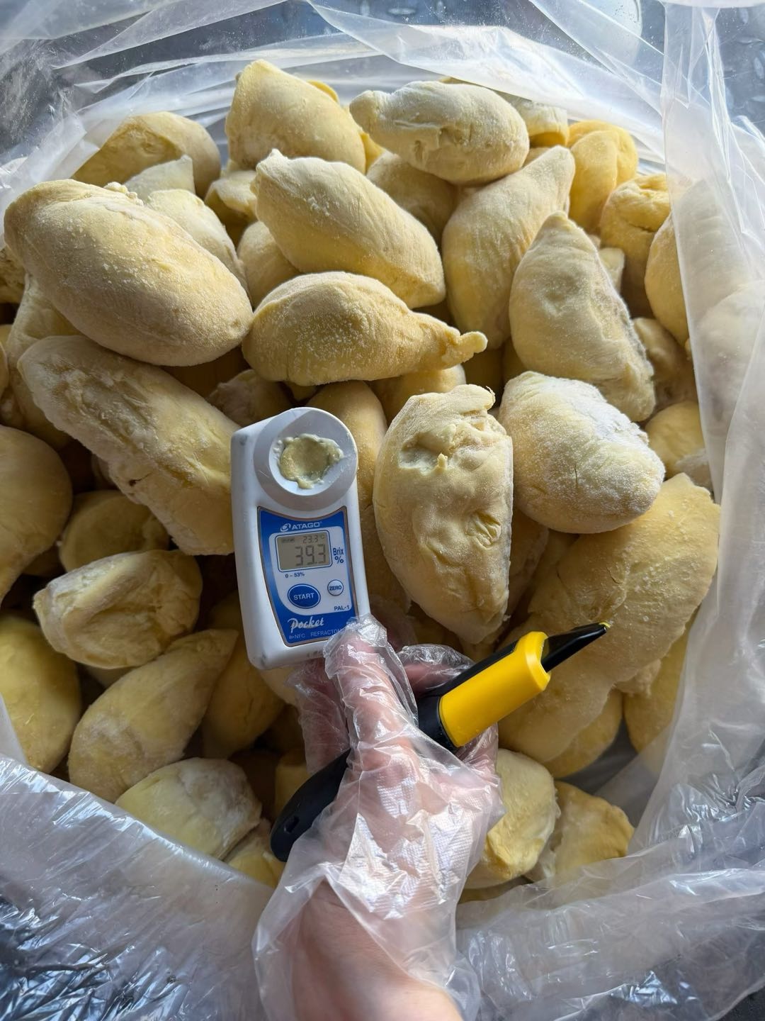 郑泽鑫品牌货源