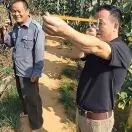 张先生