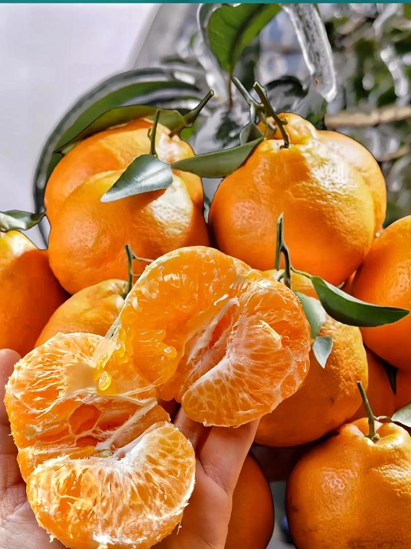 乔先生品牌货源