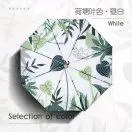 朱先生